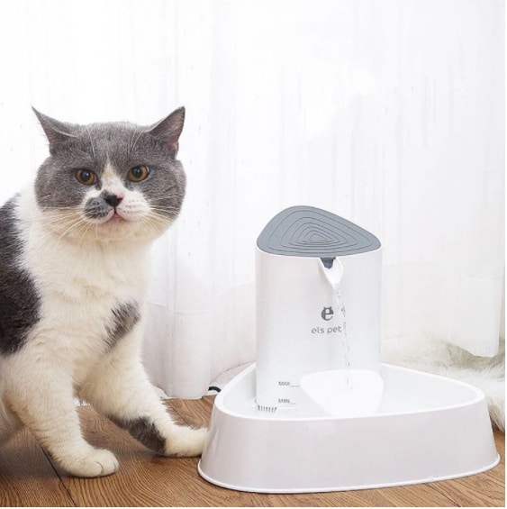 Cat Water Fountain Feeding Machine